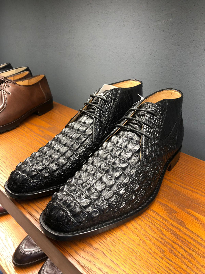 Alligator